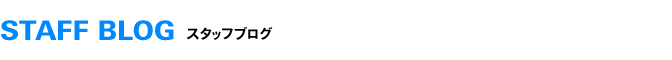STAFF BLOG スタッフブログ